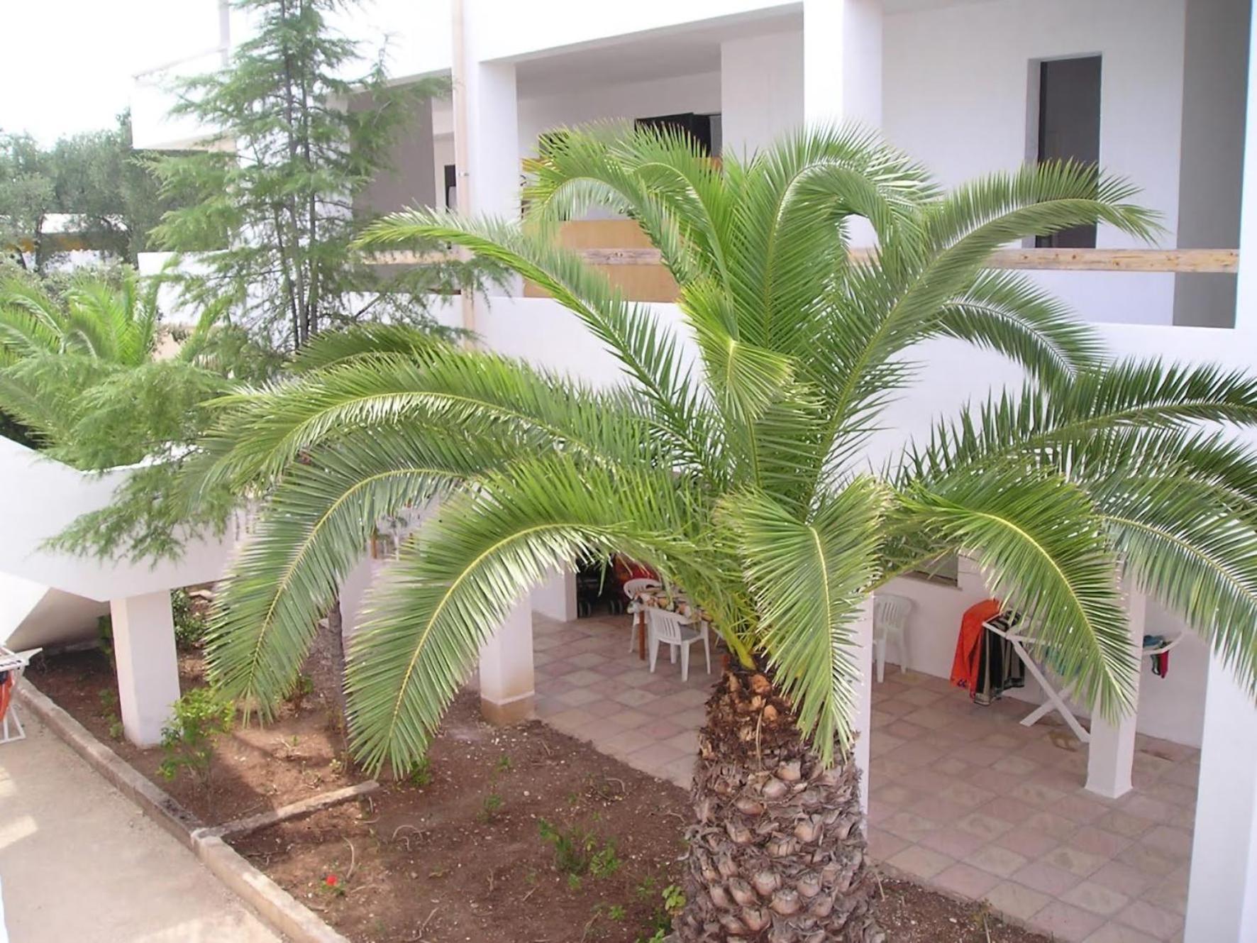 Residence Baia Del Gallo ヴィエステ エクステリア 写真